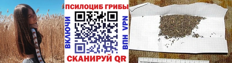 Купить где  Воткинск  Галлюциногенные грибы мицелий 